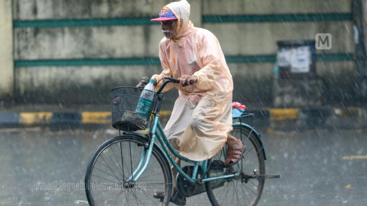 Rain Alert: പത്തനംതിട്ടയിൽ വിദ്യാഭ്യാസ സ്ഥാപനങ്ങൾക്ക് നാളെ അവധി