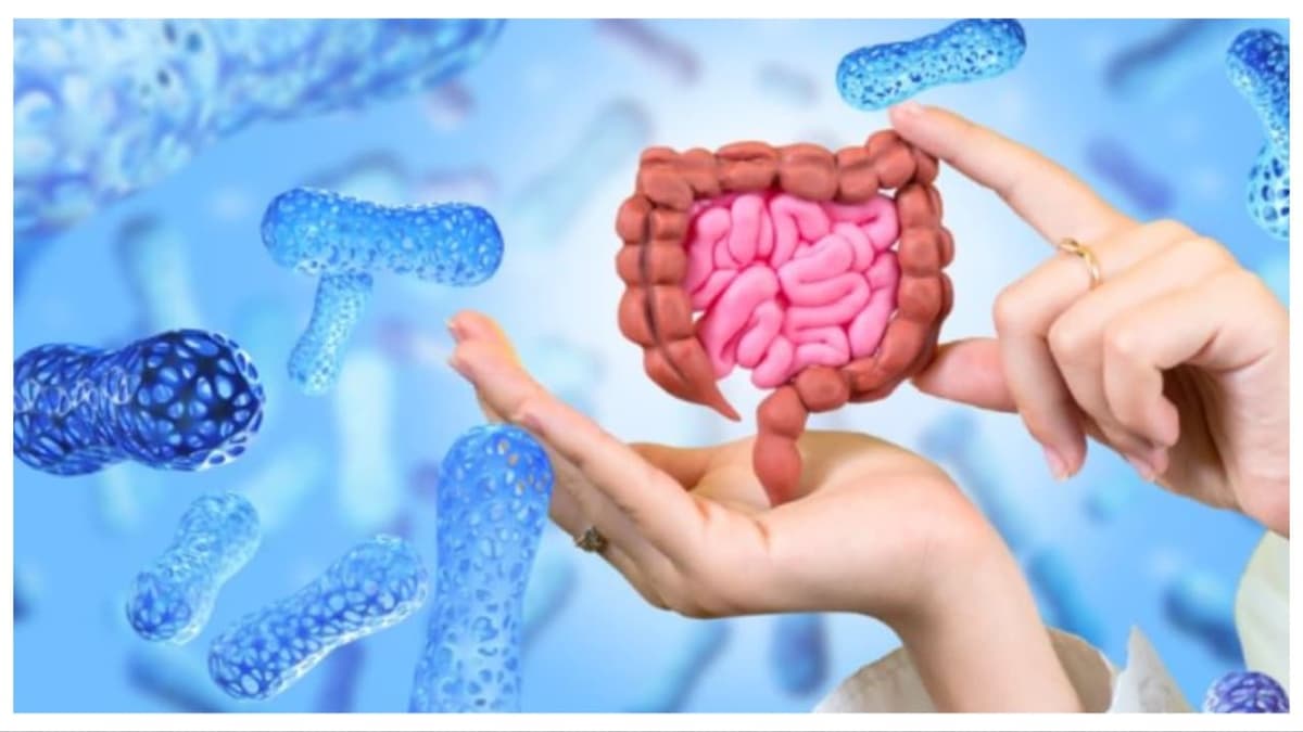 Six Drinks to Improve Gut Health:കുടലിന്റെ ആരോഗ്യം മെച്ചപ്പെടുത്താൻ കുടിക്കേണ്ട ആറ് പാനീയങ്ങൾ
