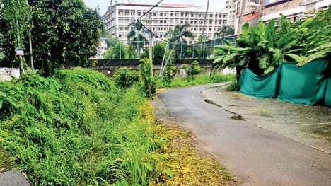 Road safety concerns in Thrikkakara:കാടുമൂടി, കൈവരികളുമില്ല ഭീതിയിൽ കല്ലേപ്പുറം കനാൽ റോഡ് യാത്ര