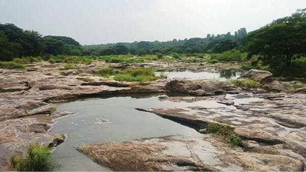 Rain continues but Chittoor River dries up: മഴ തുടരുമ്പോഴും കരകവിയാതെ ചിറ്റൂർപ്പുഴ