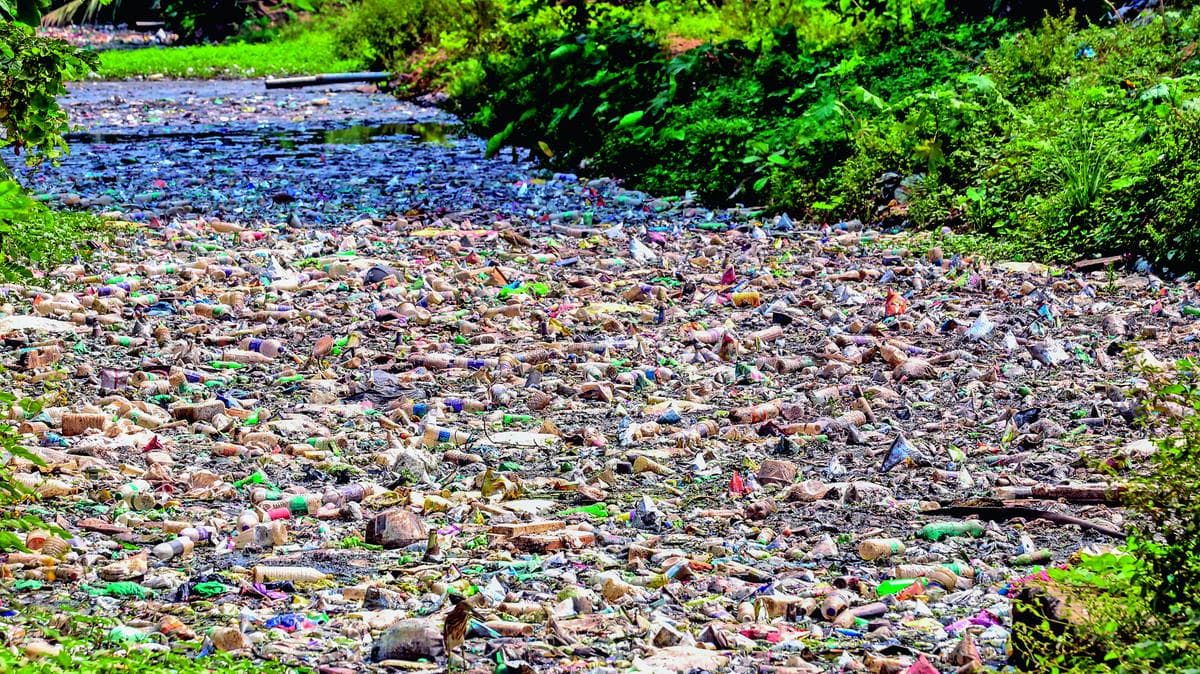 Plastic Waste is the Real Villain:ഓടകൾ അടയുന്നു, നഗരങ്ങൾ വെള്ളത്തിലാകുന്നു; പ്ലാസ്റ്റിക് മാലിന്യങ്ങളാണ് യഥാർത്ഥ വില്ലൻ