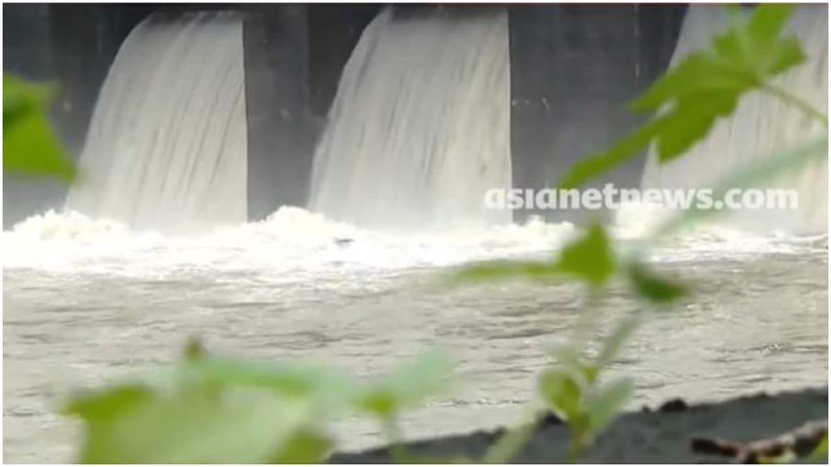Malankara Dam Siltation Issue: മലങ്കര ഡാമിന്റെ സംഭരണ ശേഷിയുടെ പകുതിയോളം മണ്ണും ചെളിയും നിറഞ്ഞതായി കണ്ടെത്തൽ