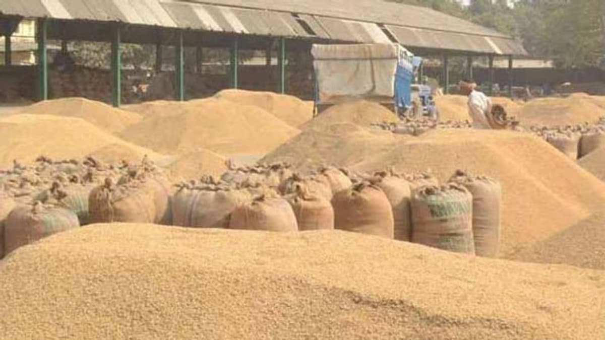 Rice Storage Bonus: സംസ്ഥാന സർക്കാർ 150 കോടി രൂപ അനുവദിച്ചു