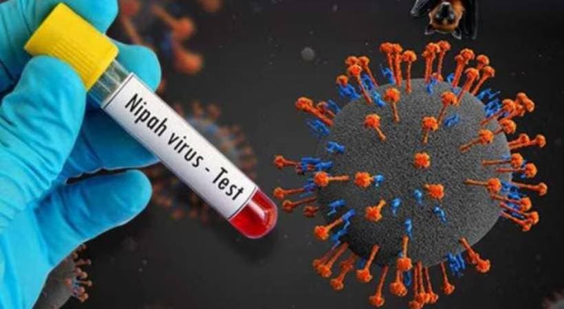 Nipah patient discharged: ഭീതി ഒഴിഞ്ഞു; നിപ രോഗബാധയുണ്ടായ 43 വയസുകാരനും ആശുപത്രി വിട്ടു