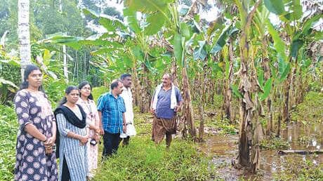 Heavy Rain Causes Flooding: ഇടപ്പോൺ കാവക്കോട്ട് 16 വീടുകൾ വെള്ളത്തിൽ