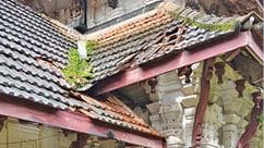 Temple Roof Collapse: ശ്രീകോവിലിന്റെ ഓടുകൾ ഇളകിവീണു