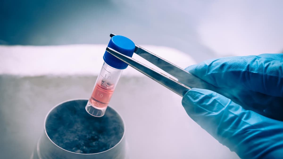 Stem Cell Banking: ജനന സമയത്തെ കരുതൽ; ജീവിതകാലം മുഴുവൻ സംരക്ഷണം
