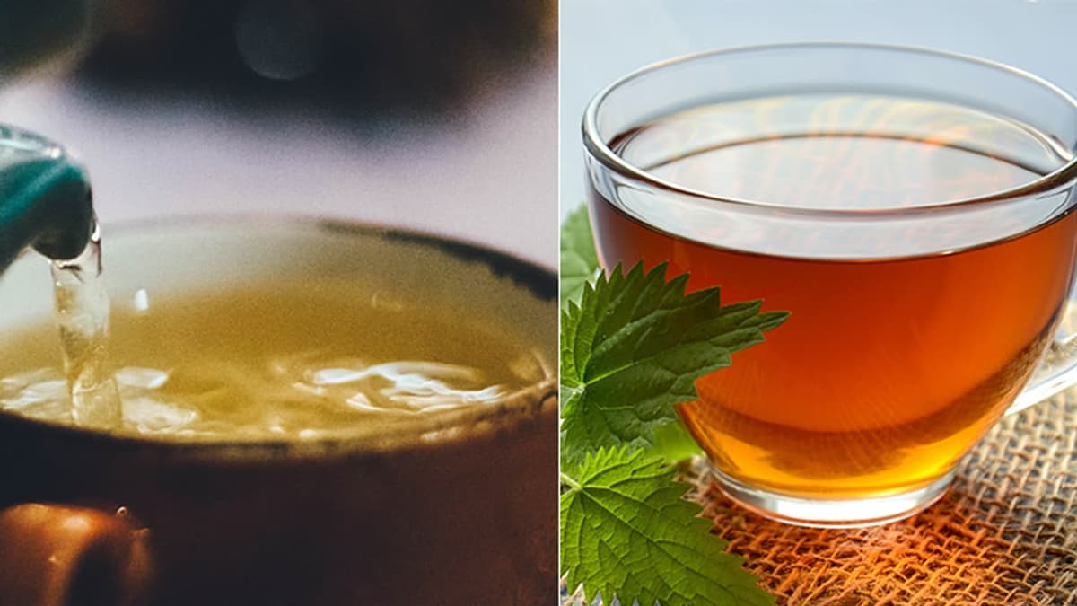 Health Benefits of Herbal Tea:സോഹ അലി ഖാൻ പറഞ്ഞത് ദഹനാരോഗ്യത്തിന് നല്ലതാണെന്ന്