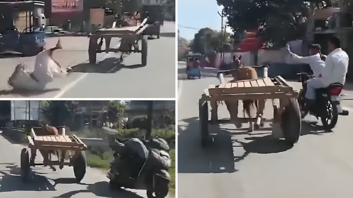 Horse Runs on Road:ഉത്തരാഖണ്ഡിൽ കുതിരയുടെ പരക്കം പാച്ചിൽ, ആളുകൾക്കിടയിൽ അക്രമം