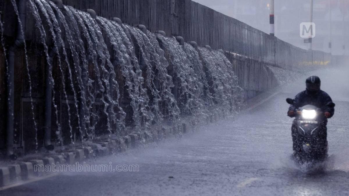 Heavy Rain Expected: സംസ്ഥാനത്ത് കനത്ത മഴ തുടരും; ഏഴ് ജില്ലകളിൽ ഓറഞ്ച് അലർട്ട്