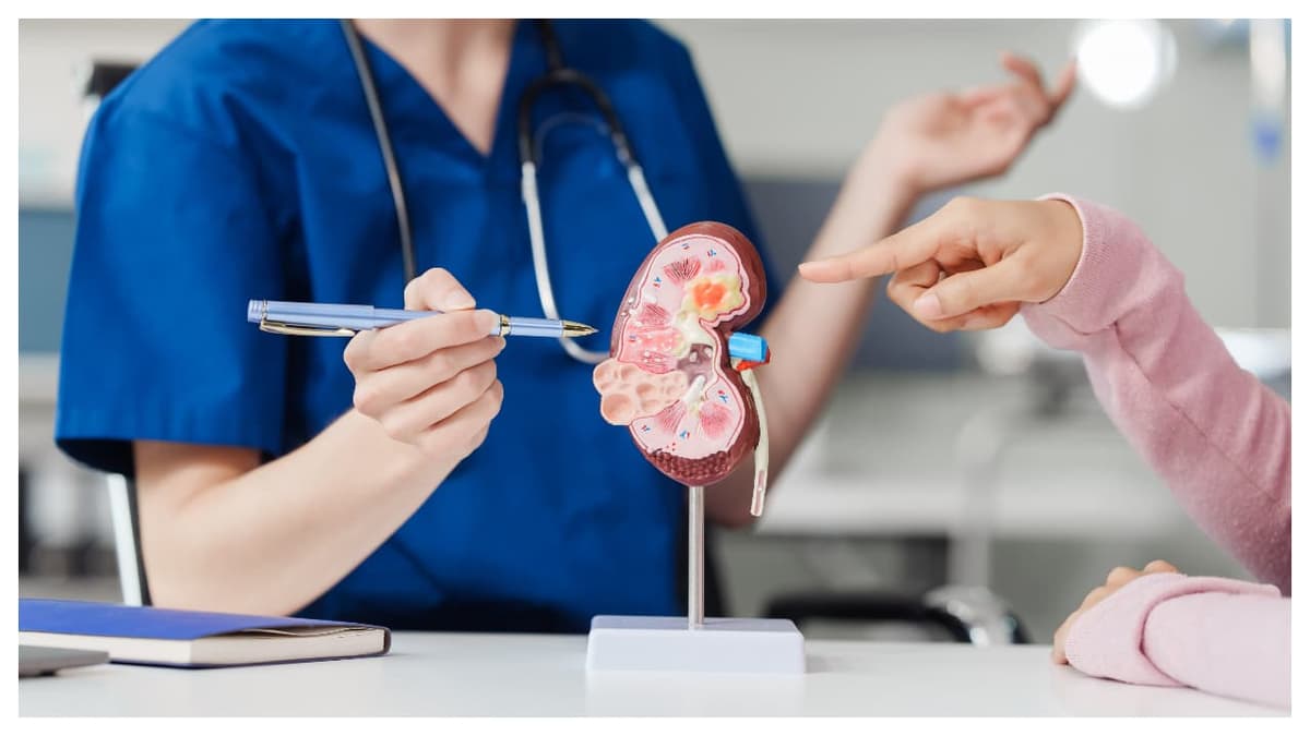 Foods to Improve Kidney Health:വൃക്കകളെ ആരോഗ്യം മെച്ചപ്പെടുത്താൻ കഴിക്കേണ്ട 6 ഭക്ഷണങ്ങൾ