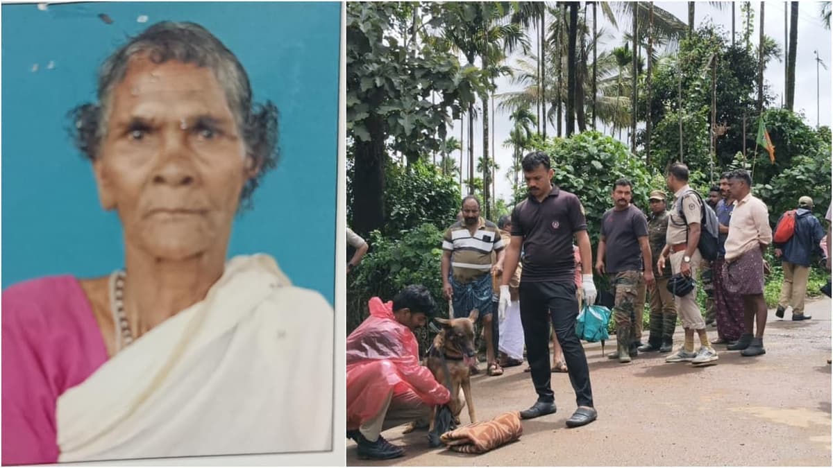 Where is Thangi?: ബന്ധുവീട്ടിലെന്ന് ആദ്യം കരുതി, നാട്ടുകാരും പോലീസും വനംവകുപ്പും തിരഞ്ഞിട്ടും വയോധികയെ കണ്ടെത്താനായില്ല