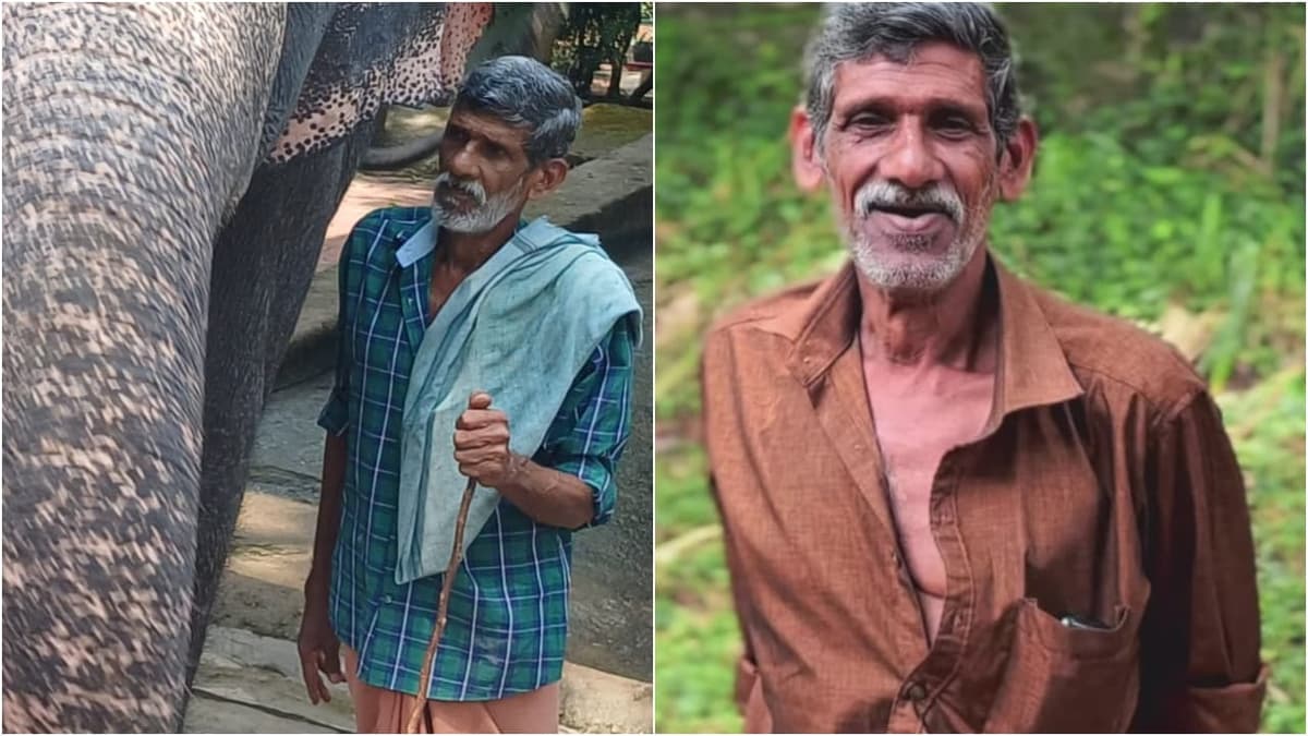 Elephant Attack in Pathanamthitta: ആന കുത്തി 67കാരനെ കൊലപ്പെടുത്തി