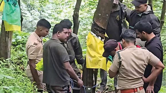 Wildlife Threat Amid Rain: മഴയോടൊപ്പം കടുവാഭീഷണിയും; തീ തിന്ന് മലയോരജനത