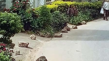 Stone Blocking Road: രാജാക്കാട്-കുഞ്ചിത്തണ്ണി റോഡിൽ കല്ലുകൾ നിരത്തിയിട്ടു ഗതാഗതം തടസ്സപ്പെടുന്നു