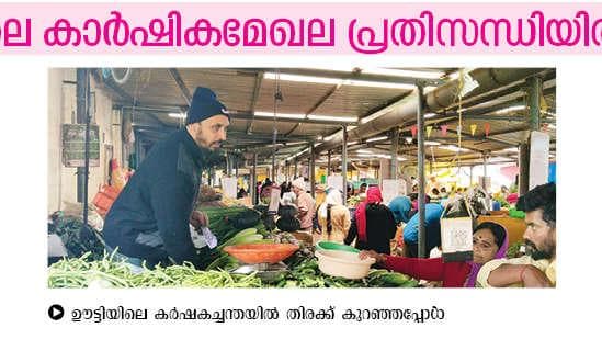 Vegetable Prices Rising:പച്ചക്കറിവില കൂടുന്നു