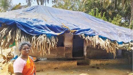 Lack of Toilets: കാട് ആശ്രയം; കമ്പാലത്തറയിലെ കുടുംബങ്ങൾ