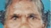 Search for Missing Elderly Woman:വടക്കനാട് കാണാതായ വയോധികയ്ക്കായി സംയുക്ത തിരച്ചിൽ തുടങ്ങി