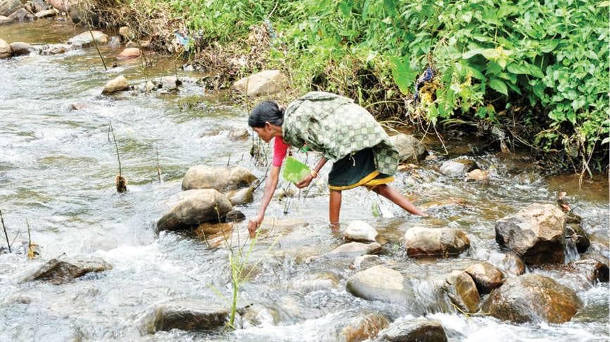 Diminishing Indigenous Food Diversity: പോയ്മറയുന്നു നാടൻ ഭക്ഷ്യവൈവിധ്യങ്ങൾ