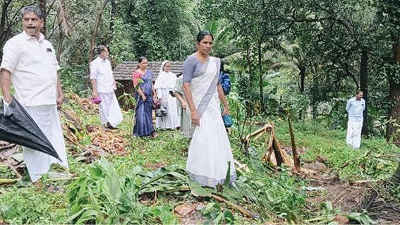 Elephant Herd in Edappuzha: എടപ്പുഴയിൽ വീണ്ടും കാട്ടാനക്കൂട്ടം; വ്യാപക കൃഷിനാശം