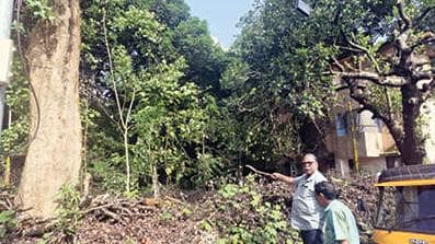 Postal Department Land Issue:തപാൽ വകുപ്പിന്റെ സ്ഥലത്തെ കാടുകയറുന്നു