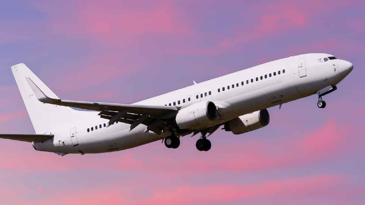 Flight Cancelled Due to Child's Behavior:സീറ്റ് ബെൽറ്റ് ധരിക്കില്ലെന്ന് വാശി, സീറ്റിൽ എഴുന്നേറ്റുനിന്ന് കുട്ടി ; ഒടുവിൽ വിമാനം തന്നെ റദ്ദാക്കി, യാത്രക്കാർ കുടുങ്ങി