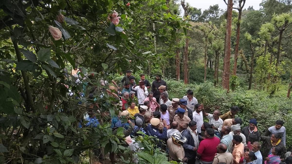 Tiger attack in Gudallur:ഗൂഡല്ലൂർ ഓവേലിയിൽ തോട്ടം തൊഴിലാളിയെ കടുവ കൊന്നുഭക്ഷിച്ചു, പ്രതിഷേധവുമായി നാട്ടുകാർ