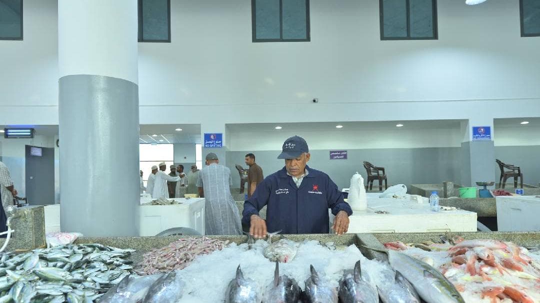 Temporary Ban on Fishing:ഒമാനിൽ അയ്ക്കൂറ മത്സ്യബന്ധനത്തിനും വിപണനത്തിനും താൽക്കാലിക നിരോധനം ഏർപ്പെടുത്തി