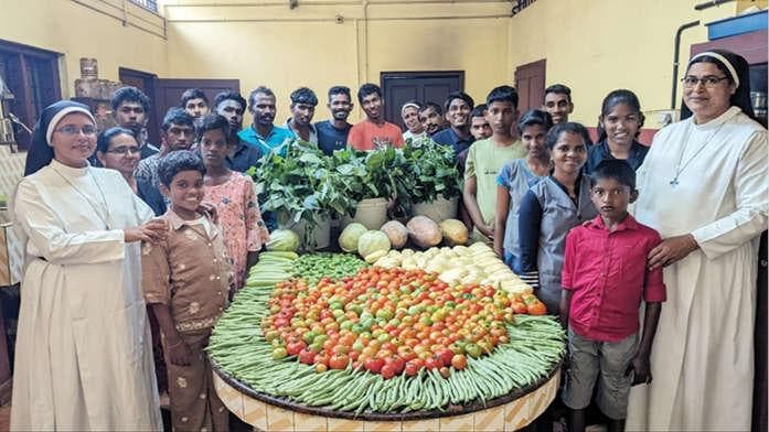 School Grows Organic Vegetables:അടിമാലി സ്കൂൾ ജൈവ പച്ചക്കറി കൃഷിയിൽ മികച്ച നേട്ടം കൈവരിച്ചു