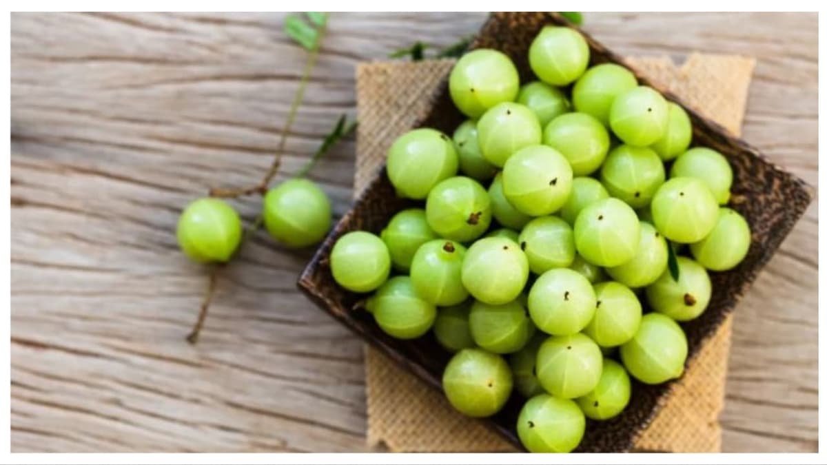 Health Benefits of Amla:നെല്ലിക്ക കഴിച്ചാൽ ലഭിക്കും ഏഴ് ആരോഗ്യഗുണങ്ങൾ