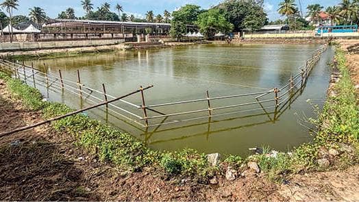 Preparations for Bali Tharpanam: ബലിതർപ്പണത്തിനൊരുങ്ങി ക്ഷേത്രങ്ങൾ